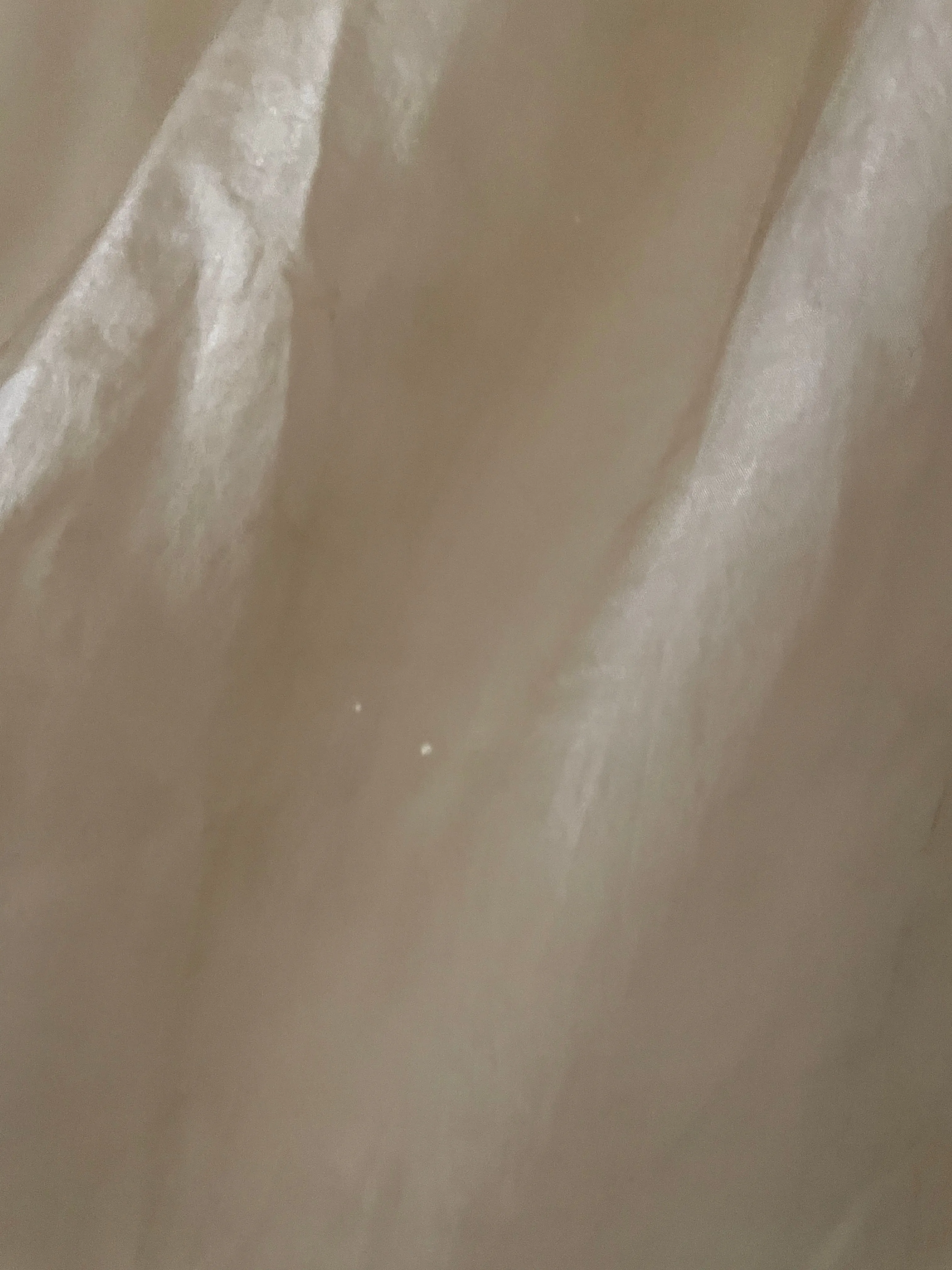 Antique Edwardian Ecru Lace Silk Slip Dress