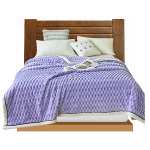 Anyhouz Blanket Purple Velvet Autumn Warm Soft Fluffy Comfortable Throw Blanket