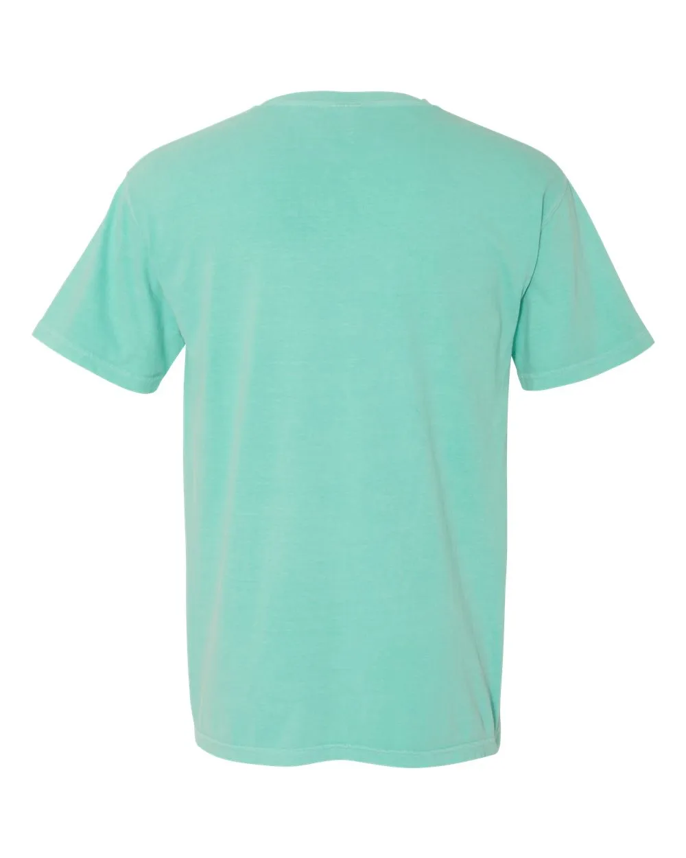 Comfort Colors - Garment-Dyed Heavyweight T-Shirt Chalky Mint