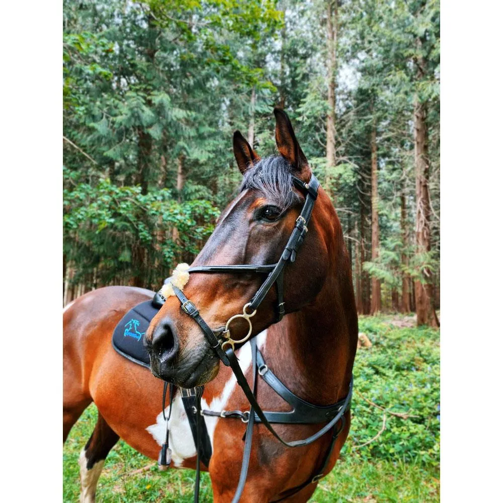 Eco Rider Grackle Bridle - Beautiful & Comfortable Stylish & Pressure-Relieving