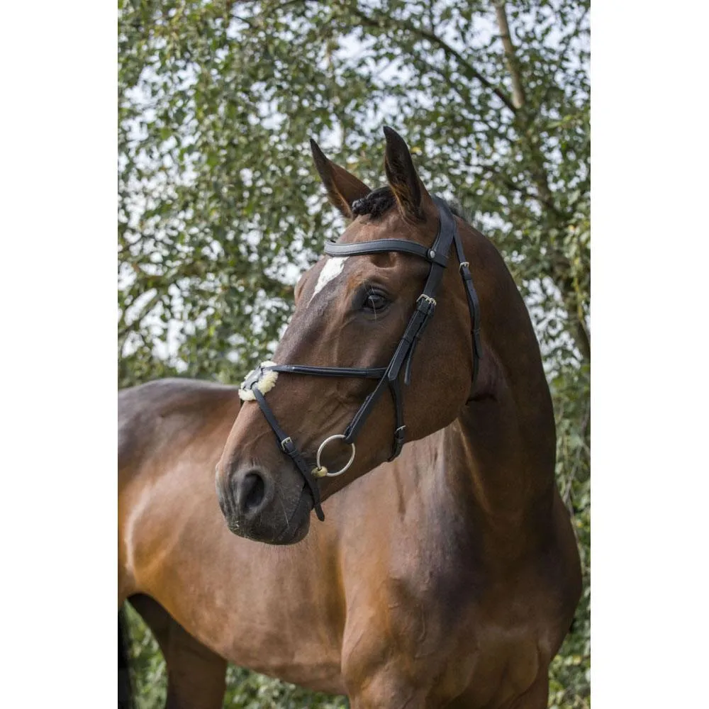 Eco Rider Grackle Bridle - Beautiful & Comfortable Stylish & Pressure-Relieving