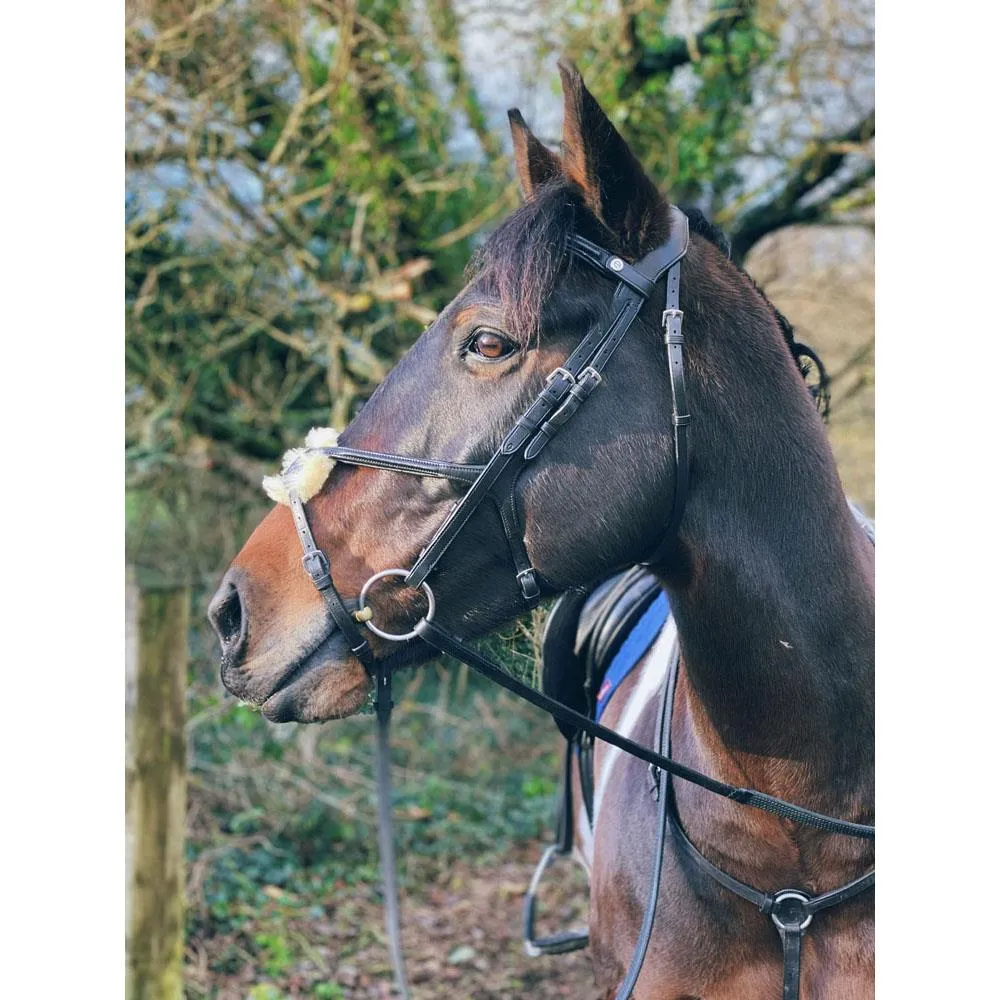 Eco Rider Grackle Bridle - Beautiful & Comfortable Stylish & Pressure-Relieving