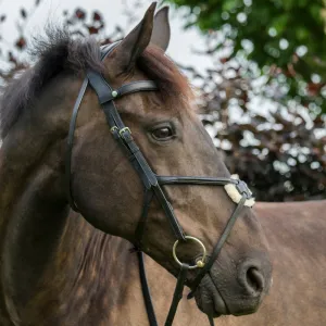 Eco Rider Grackle Bridle - Beautiful & Comfortable Stylish & Pressure-Relieving