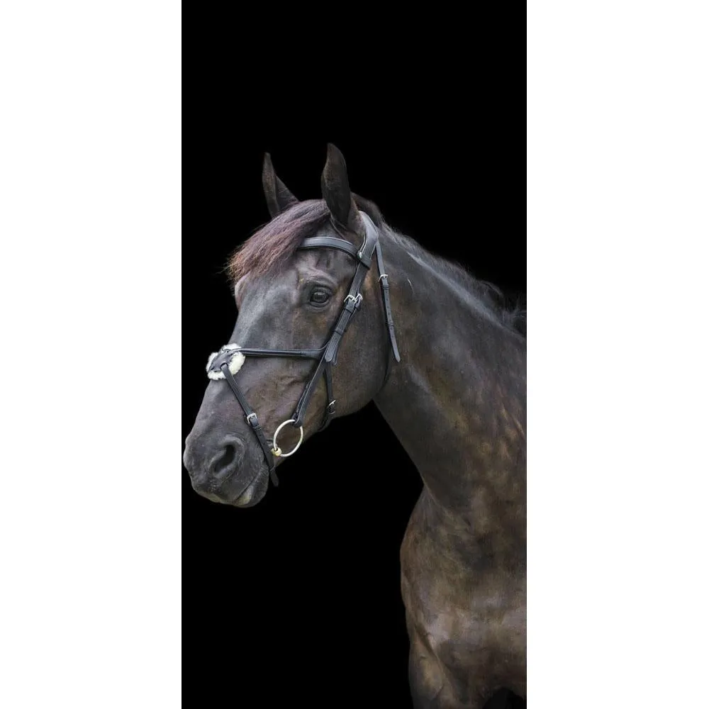 Eco Rider Grackle Bridle - Beautiful & Comfortable Stylish & Pressure-Relieving