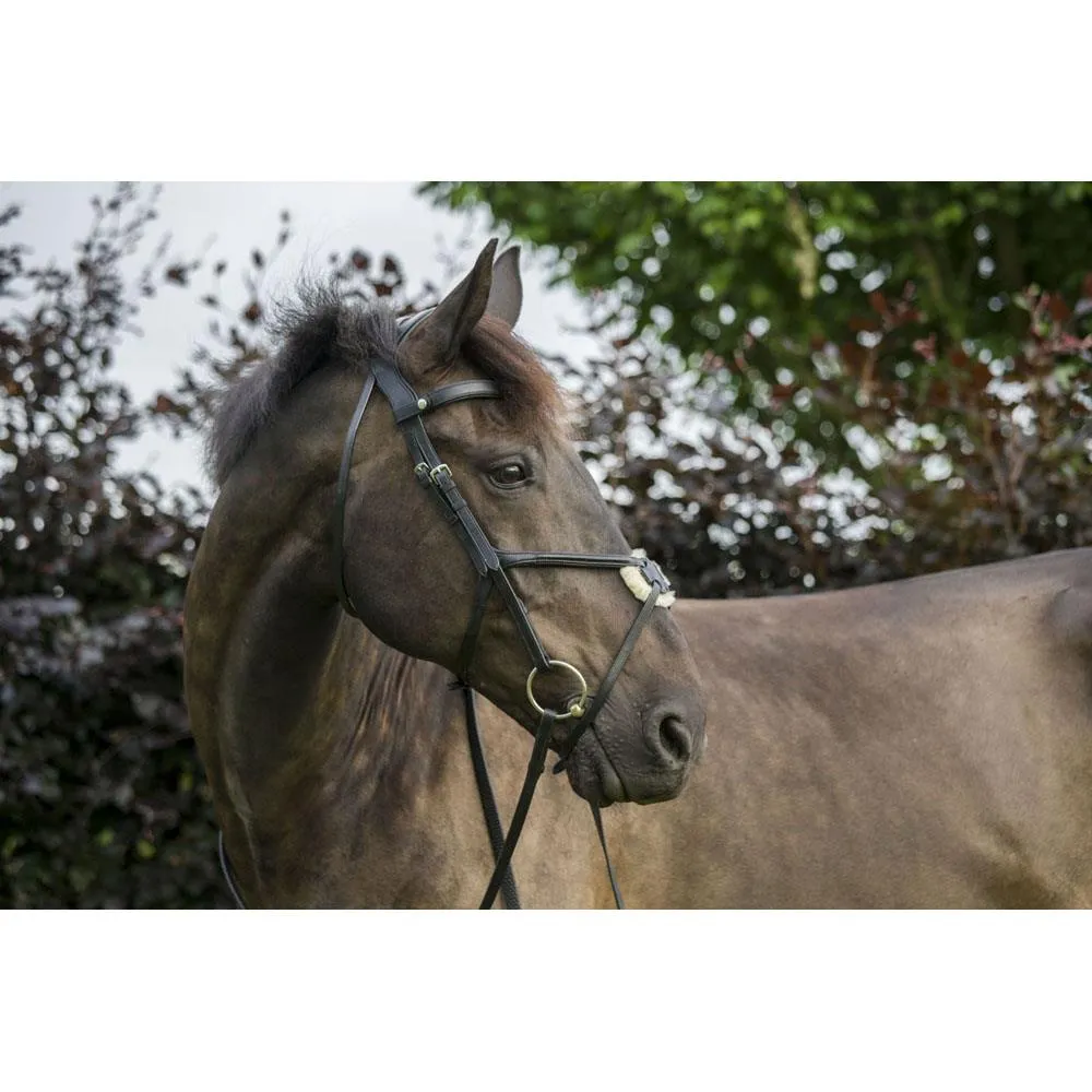 Eco Rider Grackle Bridle - Beautiful & Comfortable Stylish & Pressure-Relieving