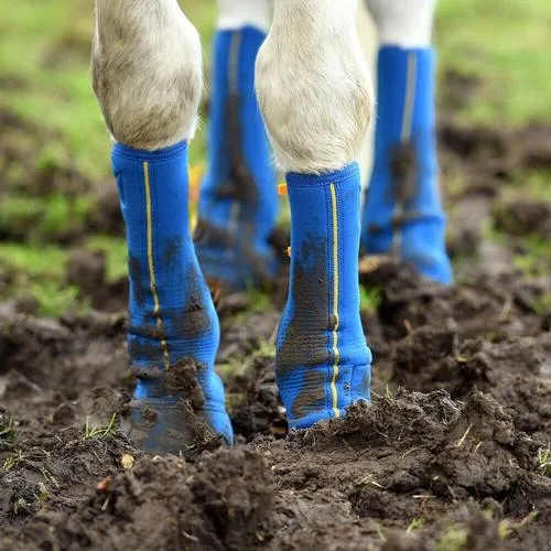 Equi Chaps Close Contact with Yellow Stripe