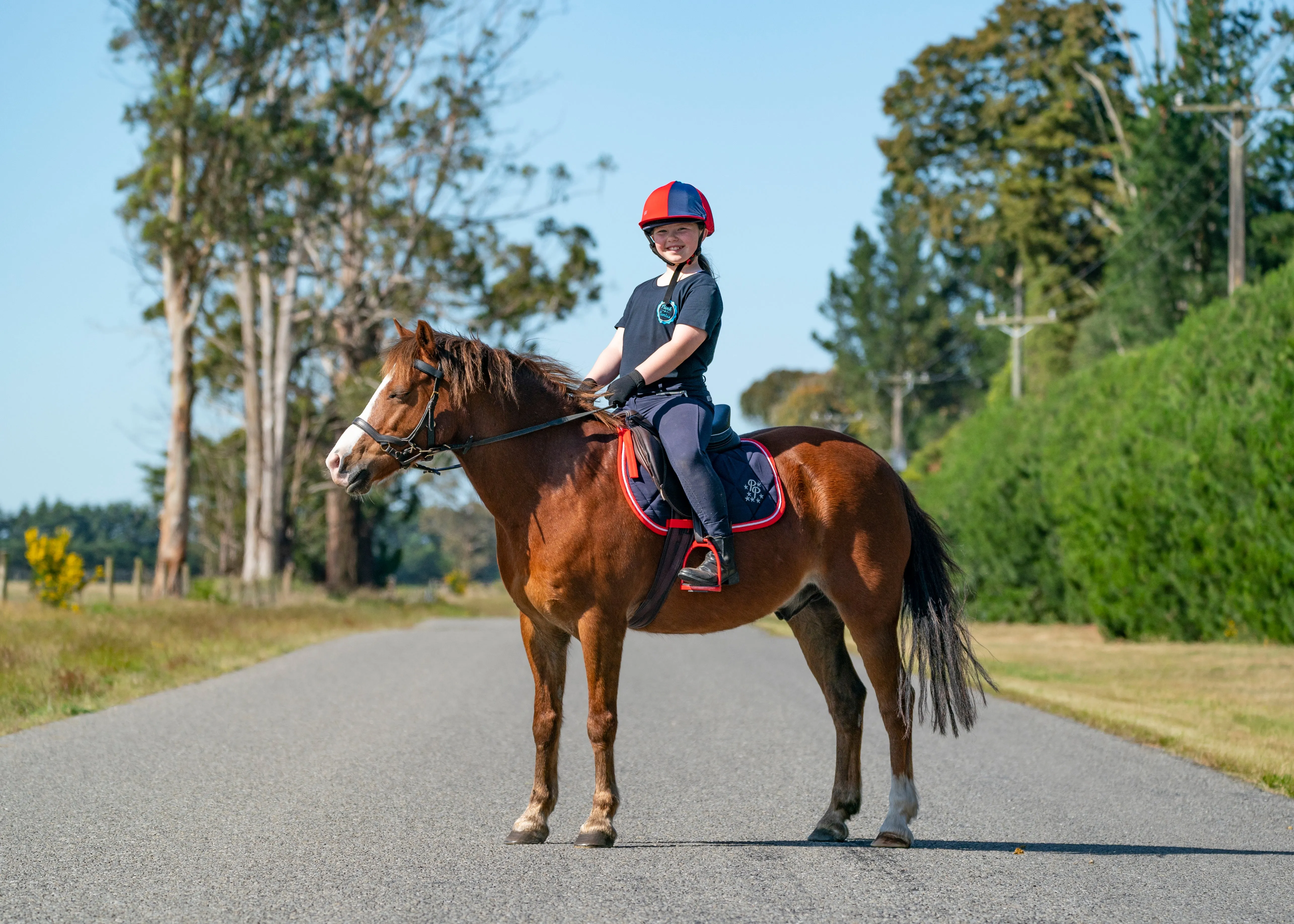 Navy/Red/White Saddle Pads - Jump, GP, and Dressage cuts