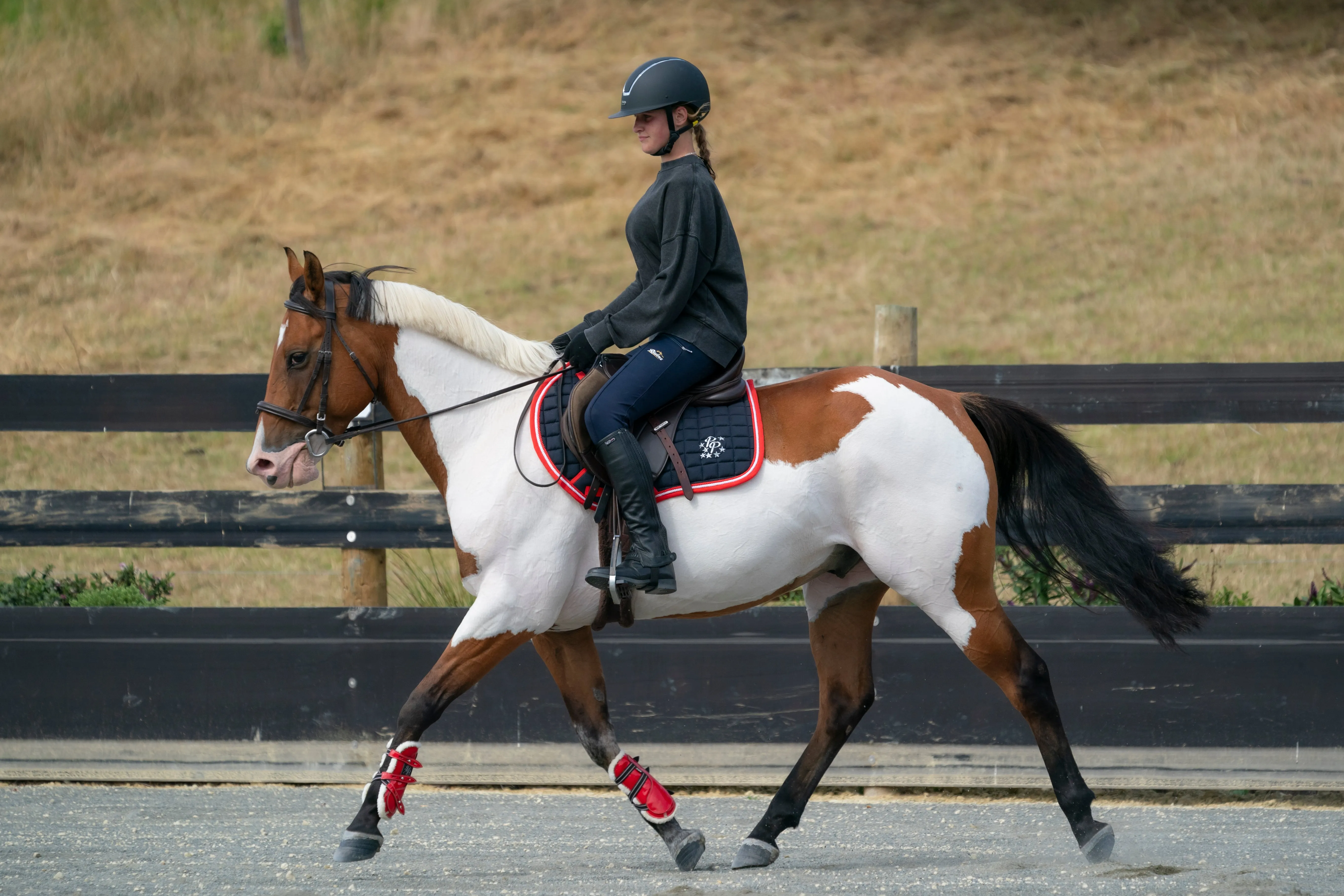 Navy/Red/White Saddle Pads - Jump, GP, and Dressage cuts