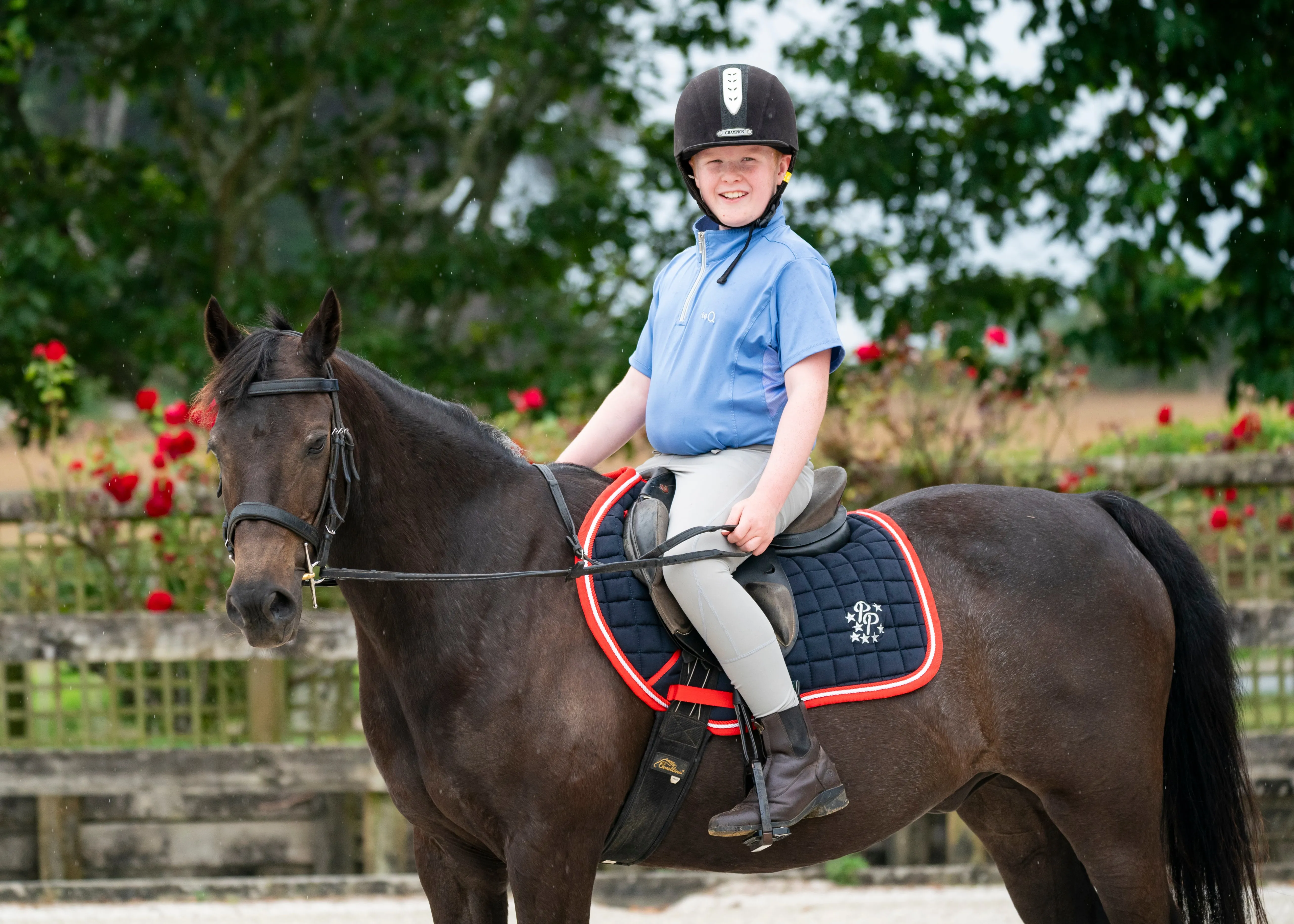 Navy/Red/White Saddle Pads - Jump, GP, and Dressage cuts