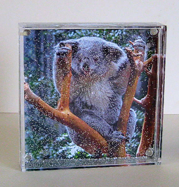 Photo Snow Globes, Personalised Gift