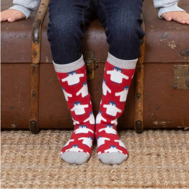 Polar Pals Cosy Socks