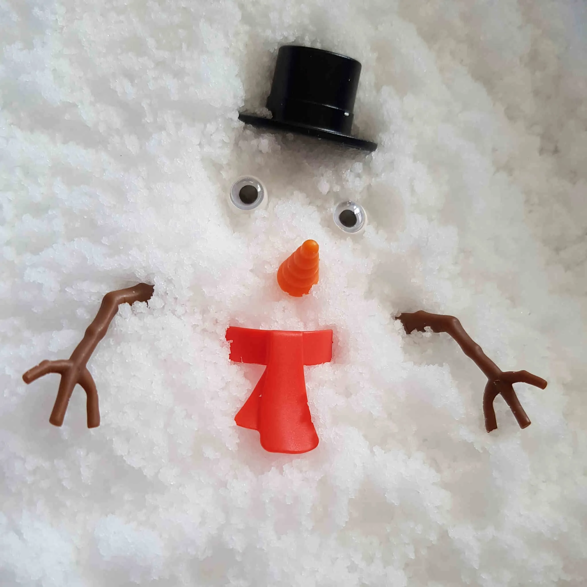 SnoWonder