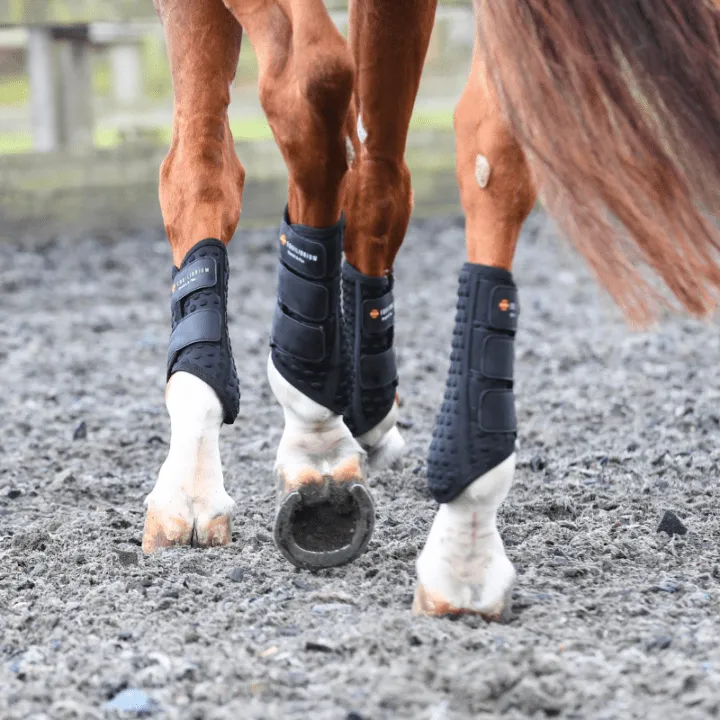 Stretch & Flex Flatwork Wraps New Black